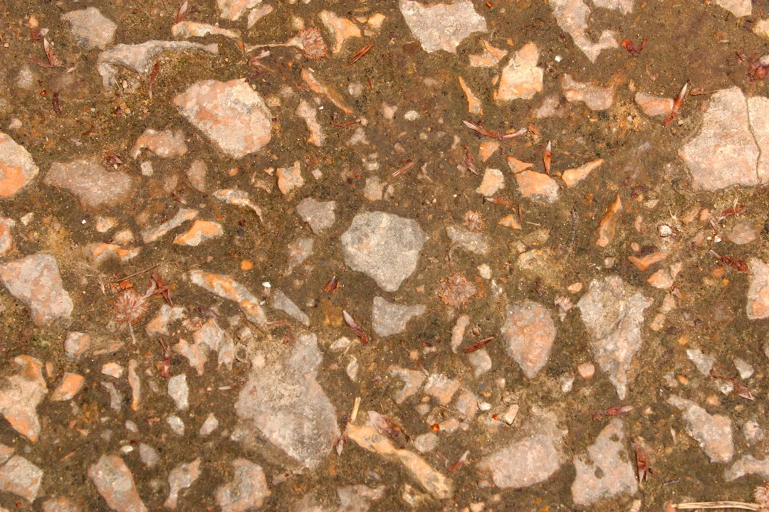 Geological and geochemical tools for targeting porphyry copper deposits