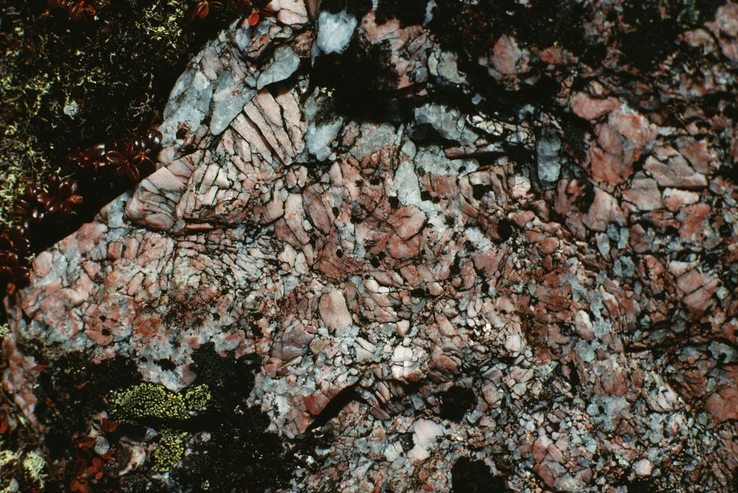 Textures of Hydrothermal alterations and geochemical footprints of porphyry deposits
