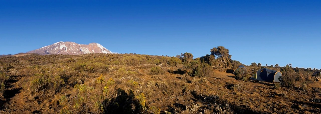 Geological and Geochemical Characteristics of Andean Porphyry Systems: Implications for Copper Exploration. SPANISH